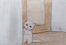 �R�������ʏ�1